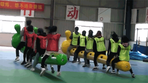 萬商超信短信公司2018年11月開展團隊拓展訓練